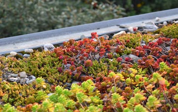 the cost of Goddington green roof installation