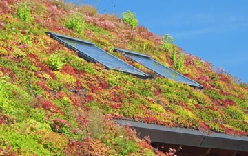 Goddington living roof systems